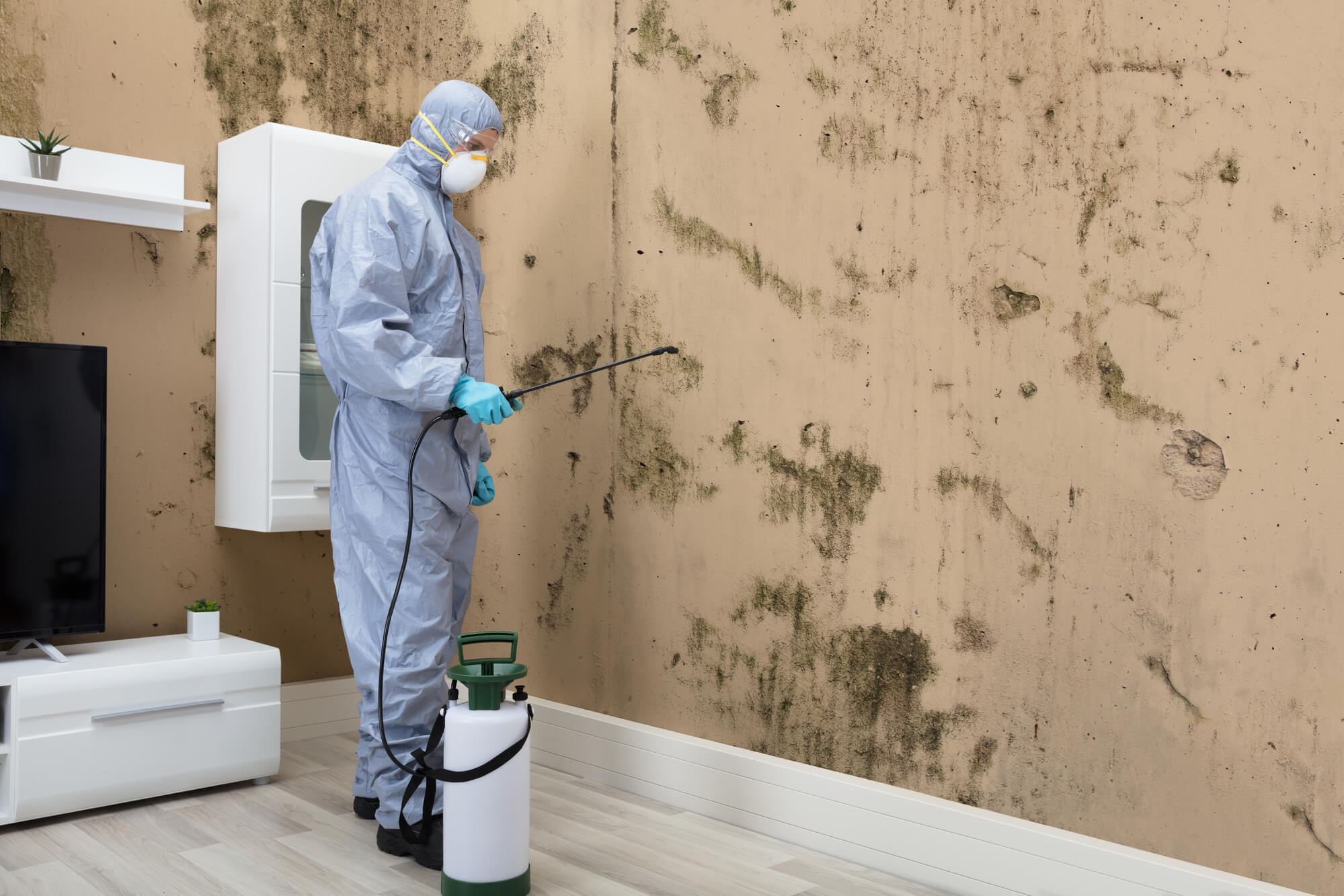 Inspector in protective gear spraying solution on mold-infested interior wall