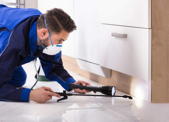 INSPECTION LOS ANGELES pest inspection specialist inspecting for infestations under kitchen cabinet